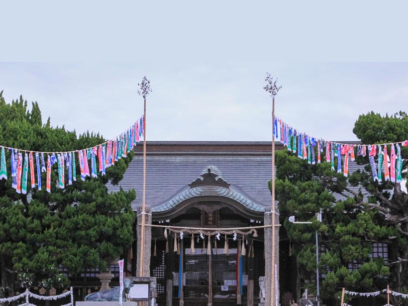 五月鯉のぼり掲揚